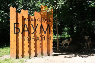 Эксперты призвали вернуть роще Баума статус особо охраняемой территории республиканского значения&nbsp;&nbsp;Эксклюзив КТ