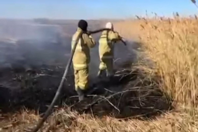 У села Новокирпичный снова горел камыш