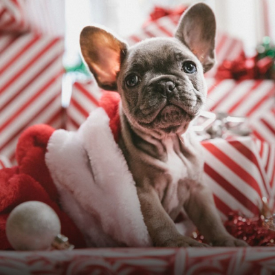 20 идей для подарков на &laquo;Тайного Санту&raquo;