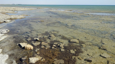 Спасать Каспий помогут другие страны