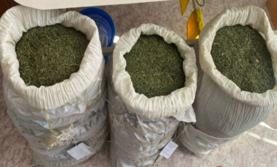 Более 56 килограммов марихуаны изъято в Жамбылской области