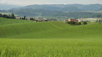 Полезные гектары