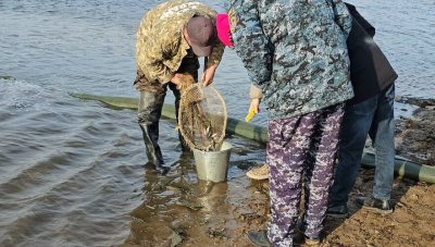 100 тыс. мальков карпа выпущено в реку Селеты в Акмолинской области