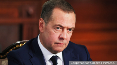 Эксперт Арамилев раскрыл правила выживания при встрече с амурским тигром