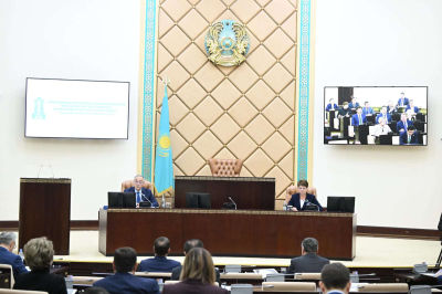 В Сенате обсудили пути привлечения частного капитала в экономику