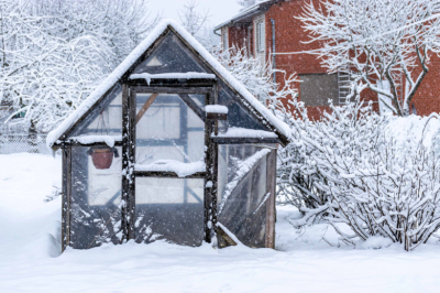 Подержите свечку: безопасные способы очистки теплицы без лишних усилий