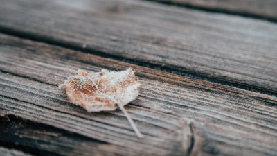 Пыльные бури и заморозки: штормовые предупреждения на 8 октября в Казахстане