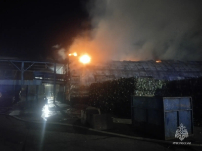 В Челнах пожар уничтожил мусорный ангар Поволжской экокомпании