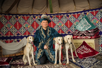 Племенной смотр собак породы казахский тазы состоялся в Алматы