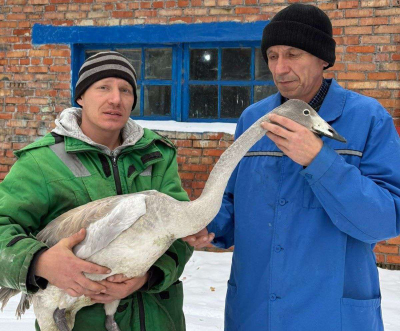 В зоосаде Бурабая – пополнение