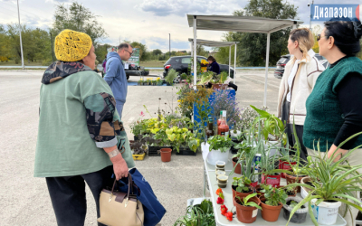 Первая осенняя ярмарка саженцев прошла в Актобе